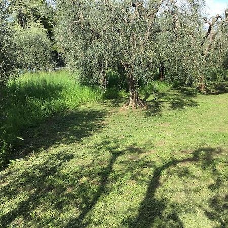 Bio Forester Manerba del Garda Exterior foto