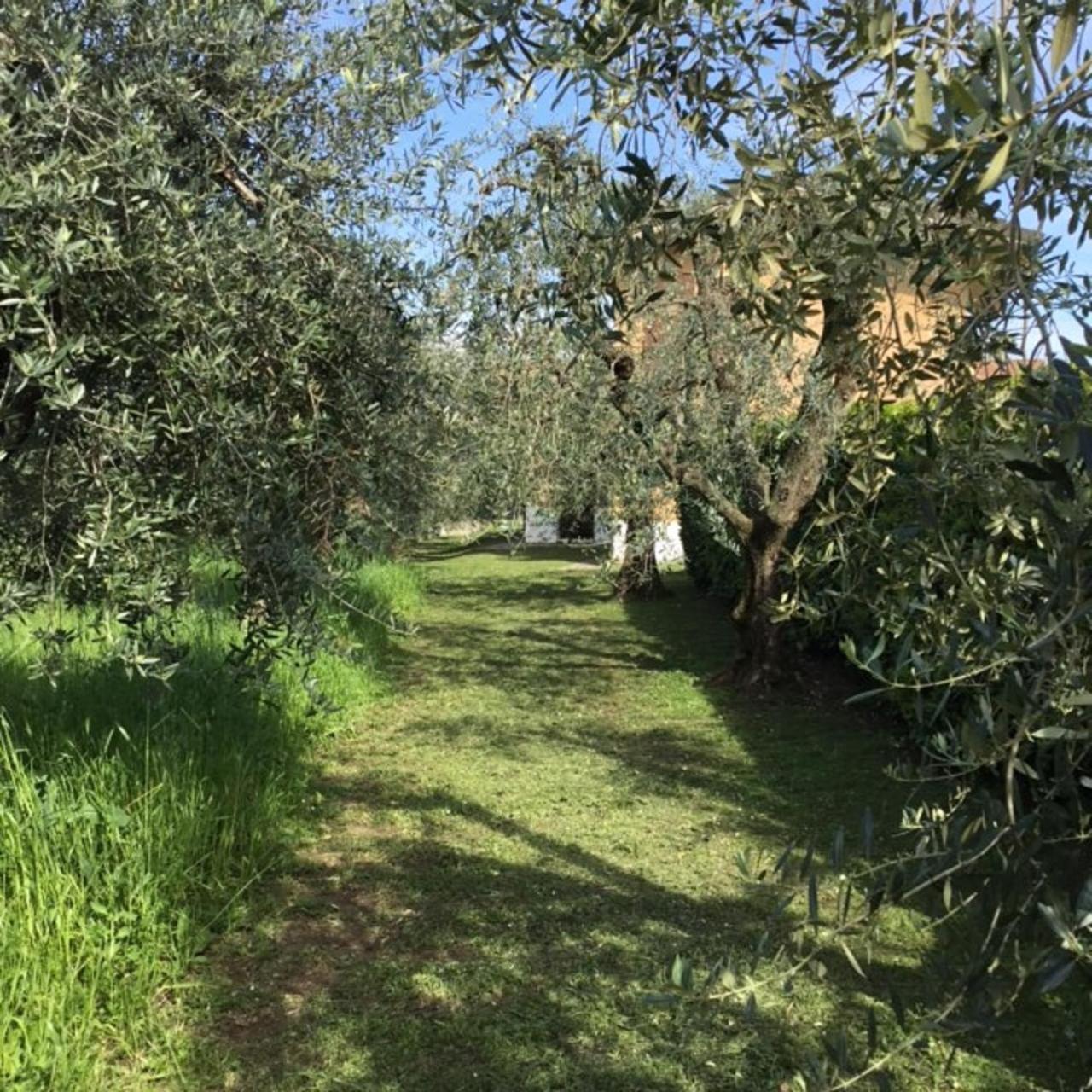 Bio Forester Manerba del Garda Exterior foto